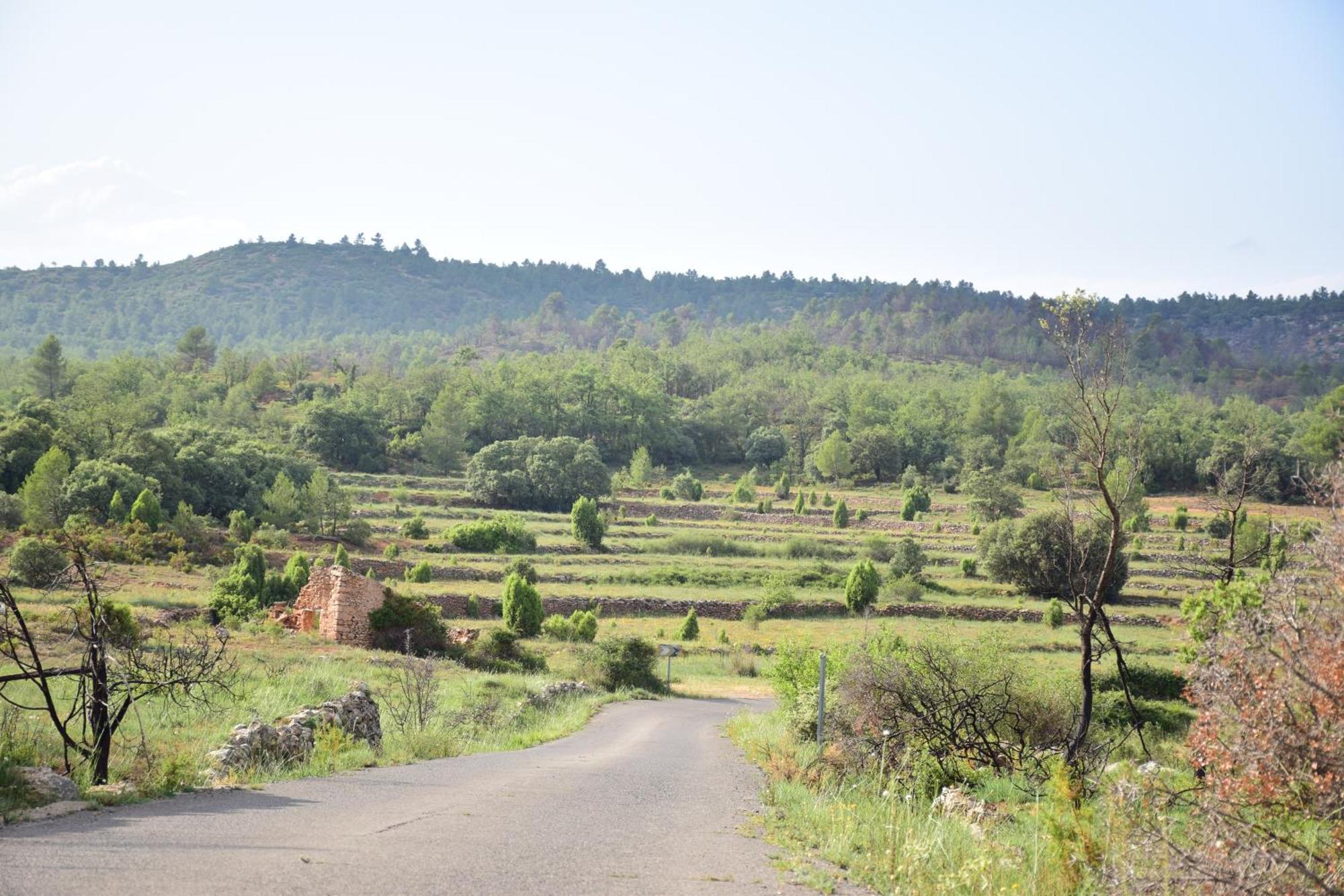 Villa Oasis Rural Los Pastores Exterior foto